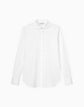 Petite James Ruffled Collar Shirt In Italian Stretch Cotton